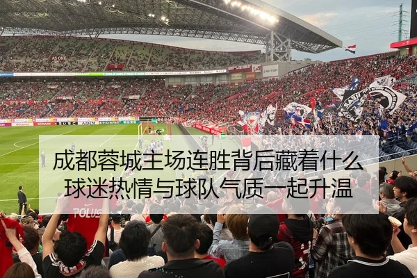 成都蓉城主场连胜背后藏着什么 球迷热情与球队气质一起升温